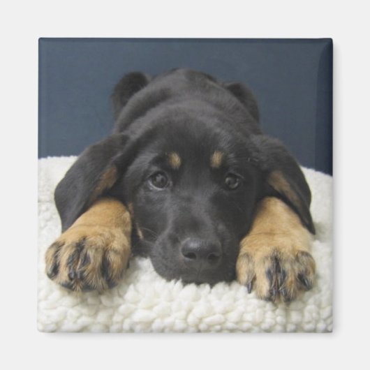 ロージー マグネット (正面)