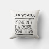 ロースクール法学学生弁護士おもしろい クッション (裏面)