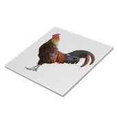 ロースターキッチンデコール追加カラー文字背景 タイル (側面)