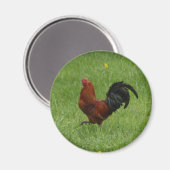 ロースター1 – マグネット (正面/裏面)