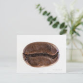 ローストコーヒー豆、スタジオショット ポストカード (スタンド正面)