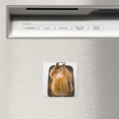 ローストト詰まったレイのローストターキー、クローズアップ マグネット (インサイチュ (食洗機))