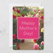 ローズガーデンの小道 赤 ピンク 緑 2025 シーズンカード (正面)