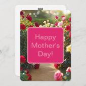 ローズガーデンの小道 赤 ピンク 緑 2025 シーズンカード (正面/裏面)