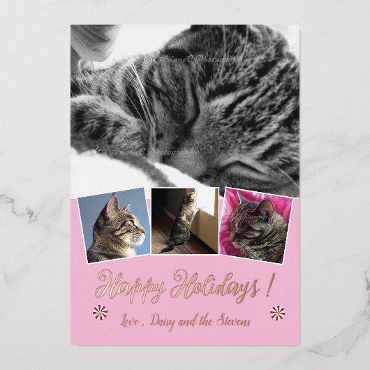ローズゴールドの箔押し猫の写真コラージュ ピンクのホリデーカード 箔シーズンカード (正面)