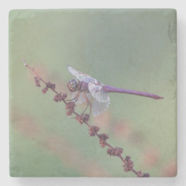 ローズテスキマードラゴンフライ ストーンコースター