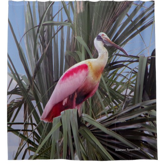 ローズテスプーンビルのシャワーカーテン シャワーカーテン (正面)