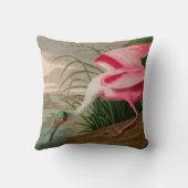 ローズテスプーンビルバードオブアメリカオードボンプリント クッション (裏面)