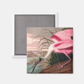 ローズテスプーンビルAudubon鳥の野生動物 マグネット (正面/裏面)