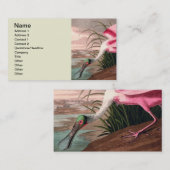 ローズテスプーンビルAudubon鳥の野生動物 名刺 (正面/裏面)