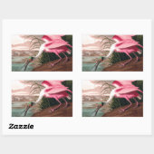 ローズテスプーンビルAudubon鳥の野生動物 長方形シール (シート)