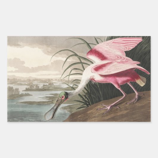 ローズテスプーンビルAudubon鳥絵を描野生動物 長方形シール (正面)