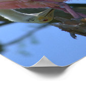 ローズテスポンビルのポスター ポスター (角)