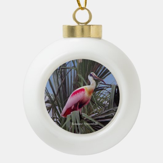 ローズテスポンビルボールまたはスノーフレークオーナメント セラミックボールオーナメント (正面)