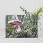 ローズテスポンビル入れ子フラットカード (スタンド正面)