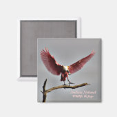 ローズテスポンビル磁石 マグネット (正面/裏面)