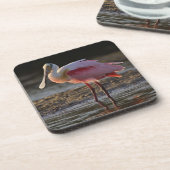 ローズテスポンビル、アジャイアajaja、Ding Darling コースター (左側)