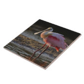 ローズテスポンビル、アジャイアajaja、Ding Darling タイル (側面)