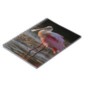 ローズテスポンビル、アジャイアajaja、Ding Darling ノートブック (左側)