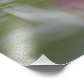 ローズテスポンビル（プラタレアajaja） 11 x 14 フォトプリント            (角)