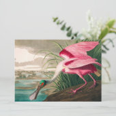 ローズテスポンビルby John James Audubon サンキューカード (スタンド正面)