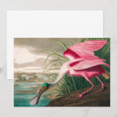 ローズテスポンビルby John James Audubon サンキューカード (正面/裏面)