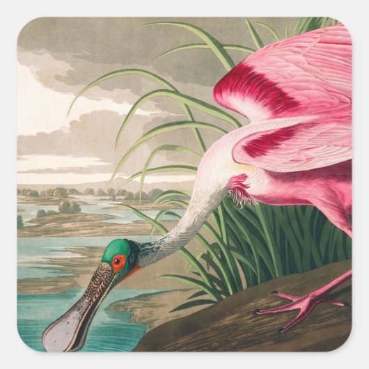 ローズテスポンビルby John James Audubon スクエアシール (正面)