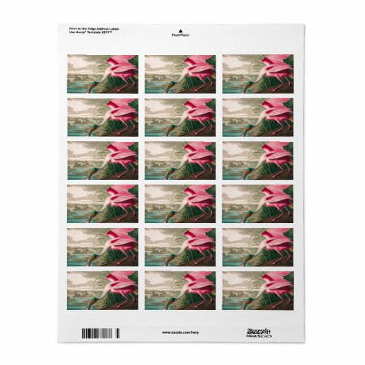 ローズテスポンビルby John James Audubon ラベル (フルシート)