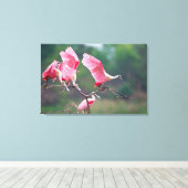 ローズテスポーンビルズ(Ajaia Ajaja)着陸 キャンバスプリント (インサイチュ (ウッドフロア))