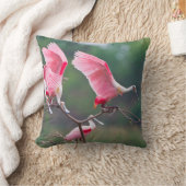 ローズテスポーンビルズ(Ajaia Ajaja)着陸 クッション (ブランケット)