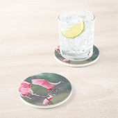 ローズテスポーンビルズ(Ajaia Ajaja)着陸 コースター (側面)