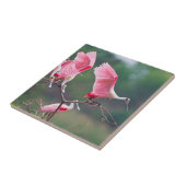 ローズテスポーンビルズ(Ajaia Ajaja)着陸 タイル (側面)