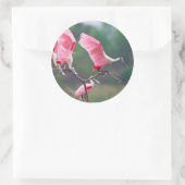 ローズテスポーンビルズ(Ajaia Ajaja)着陸 ラウンドシール (バッグ)