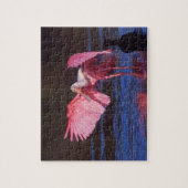 ローズテスポーンビル(Ajaia ajaja)と鵜 ジグソーパズル (縦)