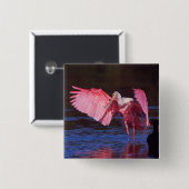 ローズテスポーンビル(Ajaia ajaja)と鵜 缶バッジ (正面&裏面)