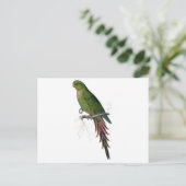 ローズテパラケートバイエドワードリア ポストカード (スタンド正面)