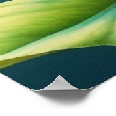 ローズテ赤面 ポスター (角)