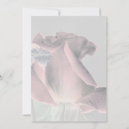 ローズバエレガントド·フローラ·ウェディングが日付を救う 招待状 (裏面)