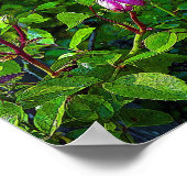 ローズバッド ポスター (角)