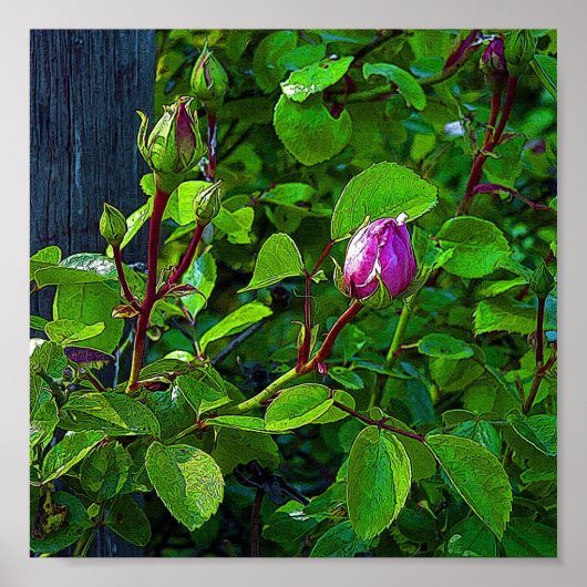 ローズバッド ポスター (正面)