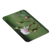 ローズバッド マグネット (右側)