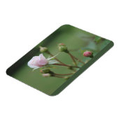 ローズバッド マグネット (左側)