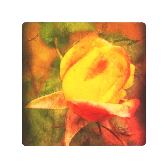 ローズバドフローラ絵画アートフォト動揺してズ メタルプリント (正面)