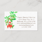 ローズヒップバラハーブ植物赤 名刺 (裏面)