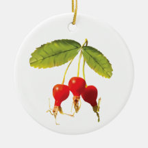 ローズヒップパターン3