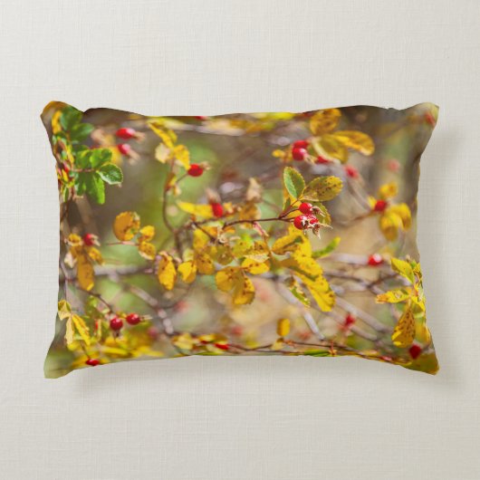 ローズヒップ秋 アクセントクッション (正面)