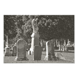 ローズヒルIII フォトプリント           