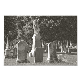 ローズヒルIII フォトプリント           