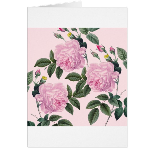 ローズピンクのヴィンテージの夢 (正面)