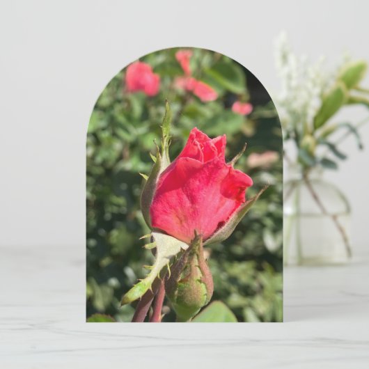 ローズブドガーデンアーチ、フラットカード 招待状 (スタンド正面)